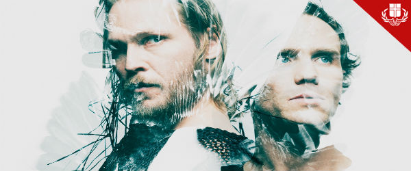 svartar fjaðir stór